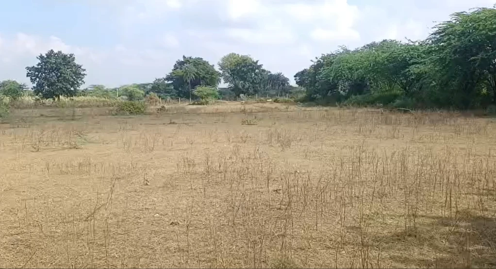 MVXV+7F Nandwel, Rajasthan, India