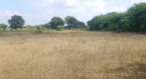 MVXV+7F Nandwel, Rajasthan, India preview 3