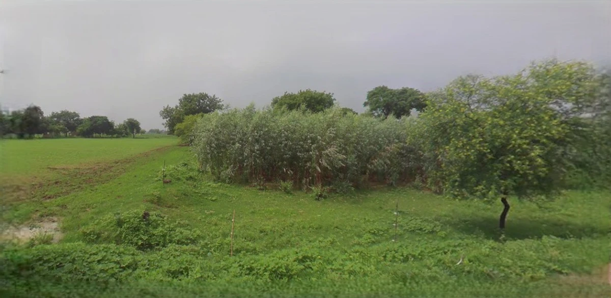Panipat, Haryana, India