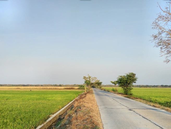 Pinan, Rajasthan, India