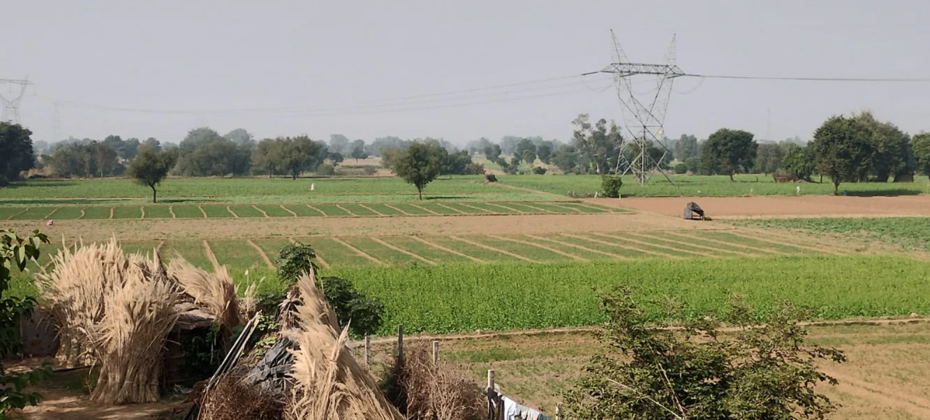 Tappal, Uttar Pradesh 202165, India
