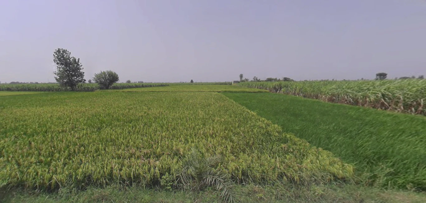 Thakurdwara, Uttar Pradesh 244601, India