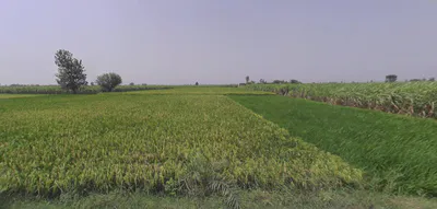 Thakurdwara, Uttar Pradesh 244601, India preview 3
