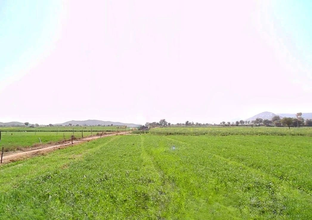 Siliserh Lake Palace, Kishanpur, Rajasthan 301001, India