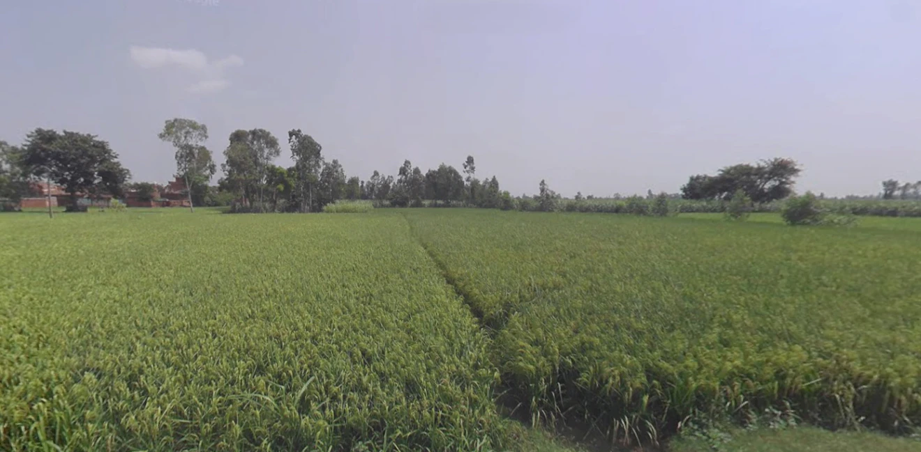 Chandpur, Uttar Pradesh 246725, India