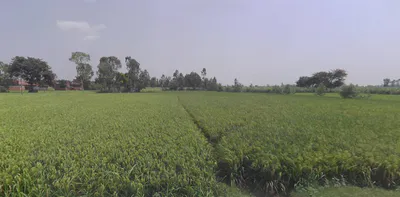 Chandpur, Uttar Pradesh 246725, India preview 3