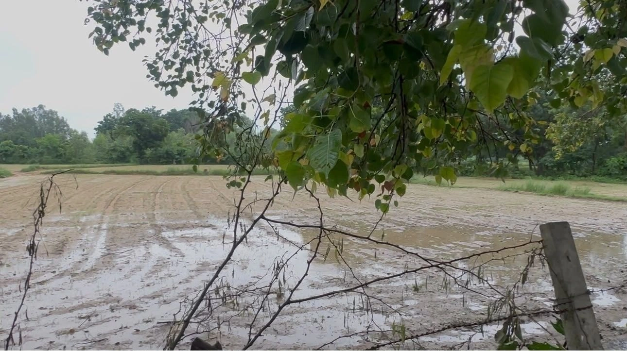 Ashakhera, Unnao, Uttar Pradesh 209859, India