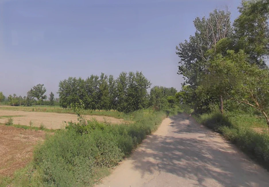 Harthala, Moradabad, Uttar Pradesh, India