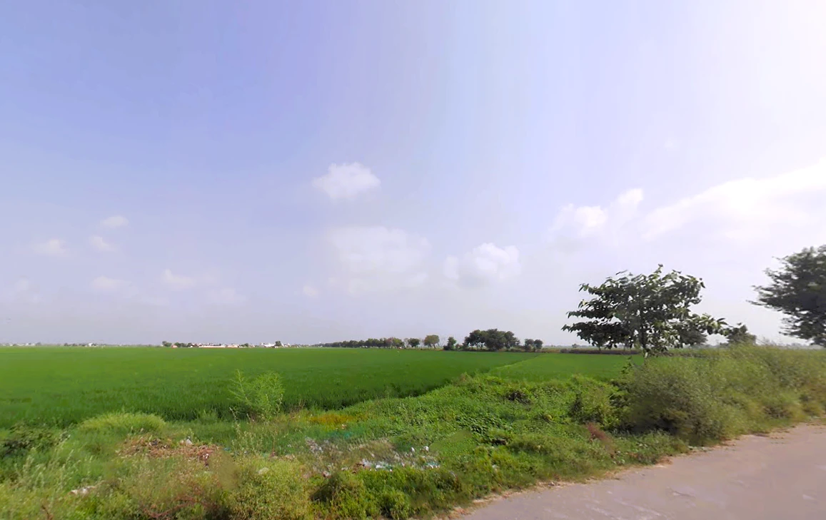 Lukhi, Haryana 136119, India