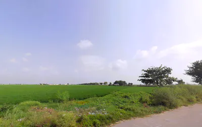 Lukhi, Haryana 136119, India preview 2