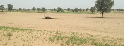 3XJ6+GH Rajiyasar, Sri Ganganagar, Rajasthan, India preview 2