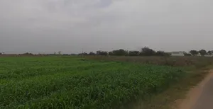 F4HC+WH Dethli, Gujarat, India preview 3