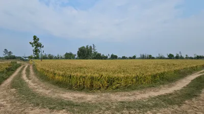 Barara, Haryana 133201, India preview 2