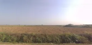 8V2W+GXH Kherdi Chowk, Amargadh, Gujarat 360002, India preview 3