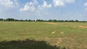 Potli, Rajasthan 303305, India preview 3