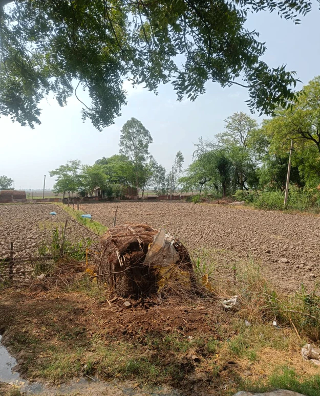 Ladhowal, Punjab 141008, India