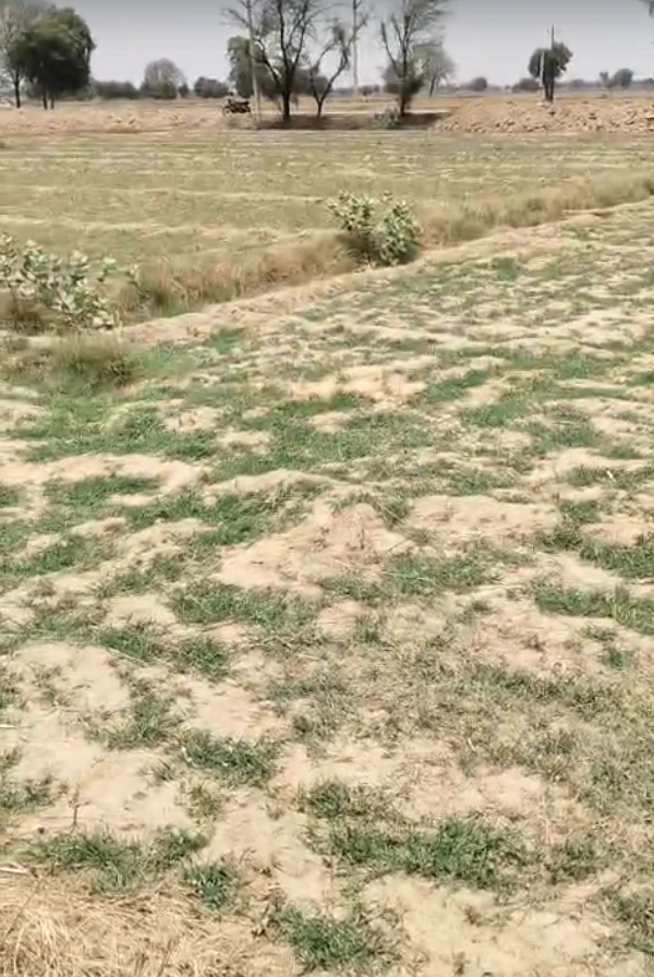 GW9V+MF Marakpur, Rajasthan, India