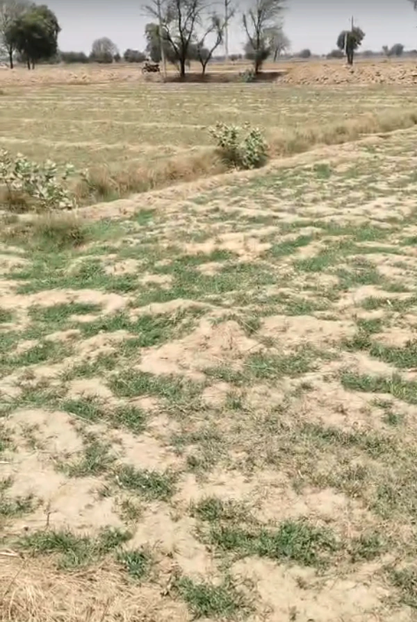 GW9V+MF Marakpur, Rajasthan, India
