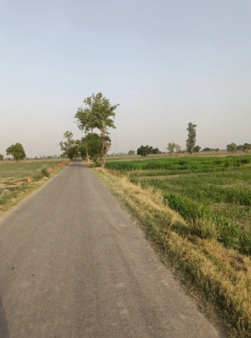Naukerian, Punjab 152033, India