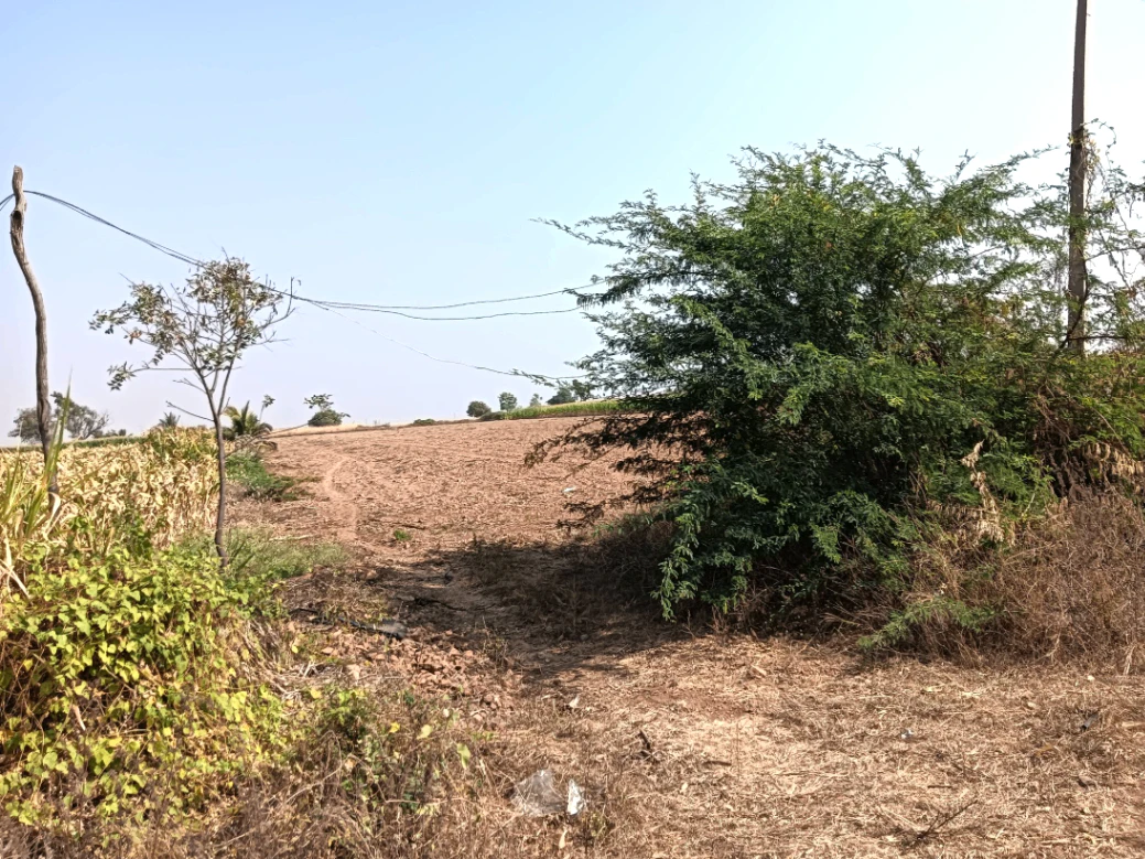 WJC8+2C Indiranagar, Karnataka, India