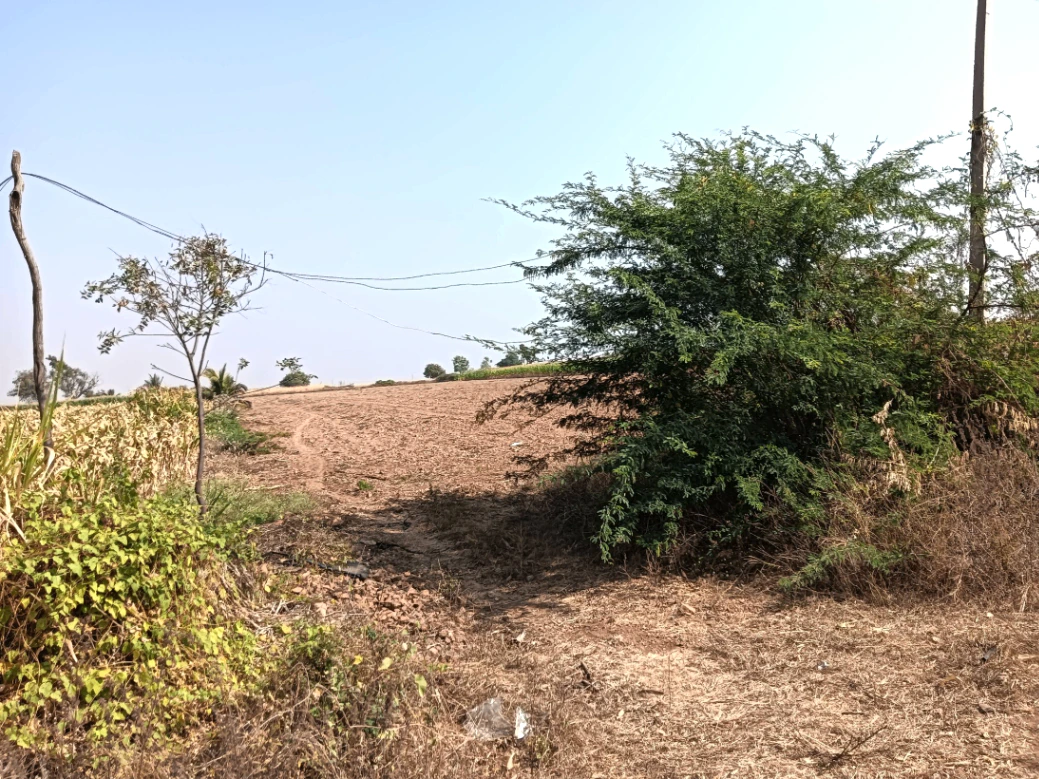 WJC8+2C Indiranagar, Karnataka, India