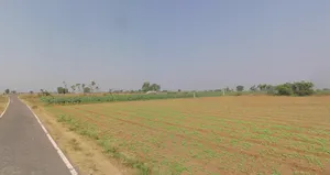 Matar, Gujarat 387530, India preview 2