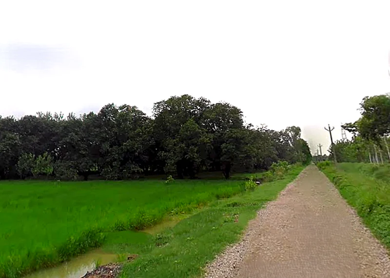 Chataki, Uttar Pradesh 247121, India preview 3