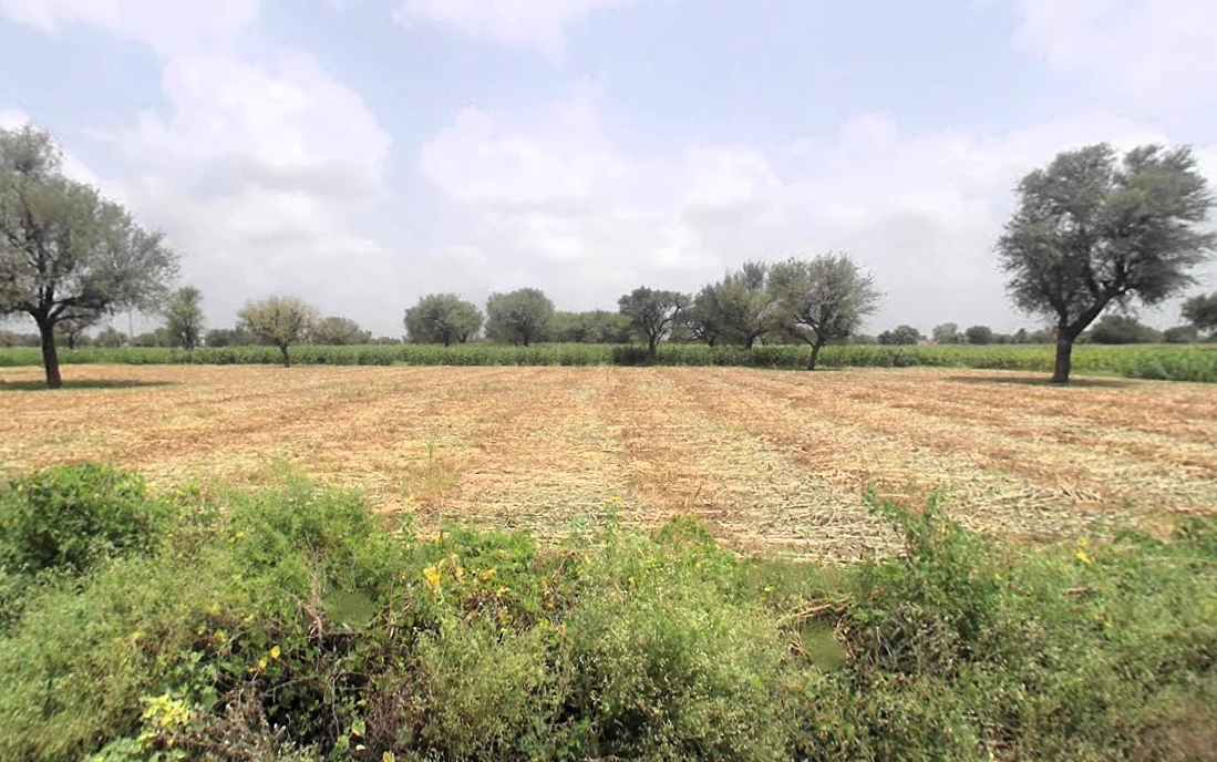 Rewari Road, Ateli Mandi, Hasanpur, Haryana 123021, India