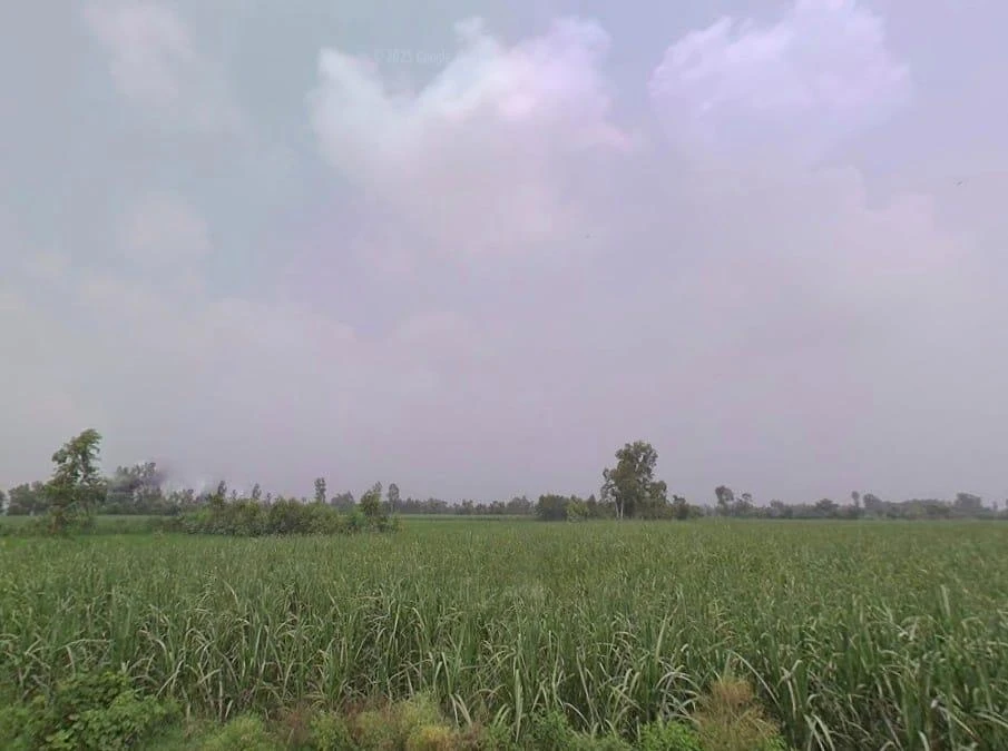 FWX8+PP Suhas, Uttar Pradesh, India