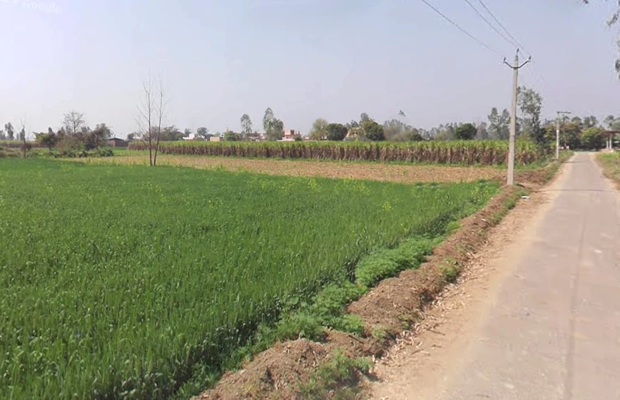 Phalauda, Uttar Pradesh 250401, India