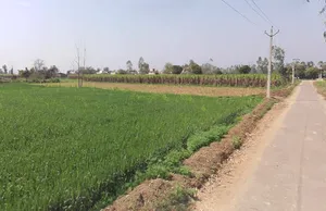 Phalauda, Uttar Pradesh 250401, India preview 2