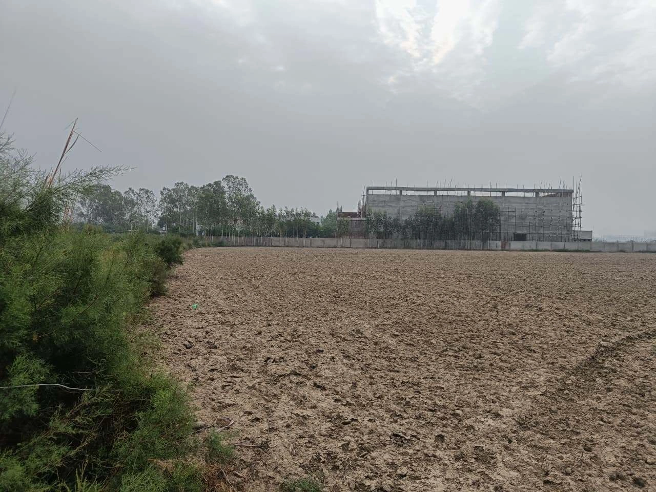 Adampur, Uttar Pradesh, India