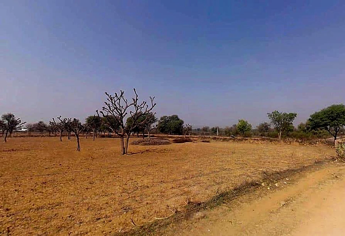 768W+3W8, Gogawas, Rajasthan, India