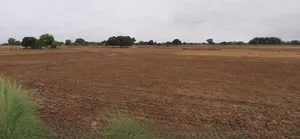 Muskara, Uttar Pradesh 210506, India preview 2