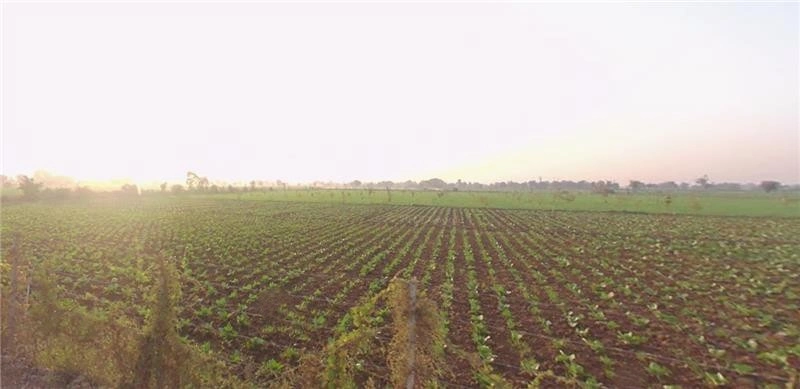 X25G+MG Vanthal, Gujarat, India
