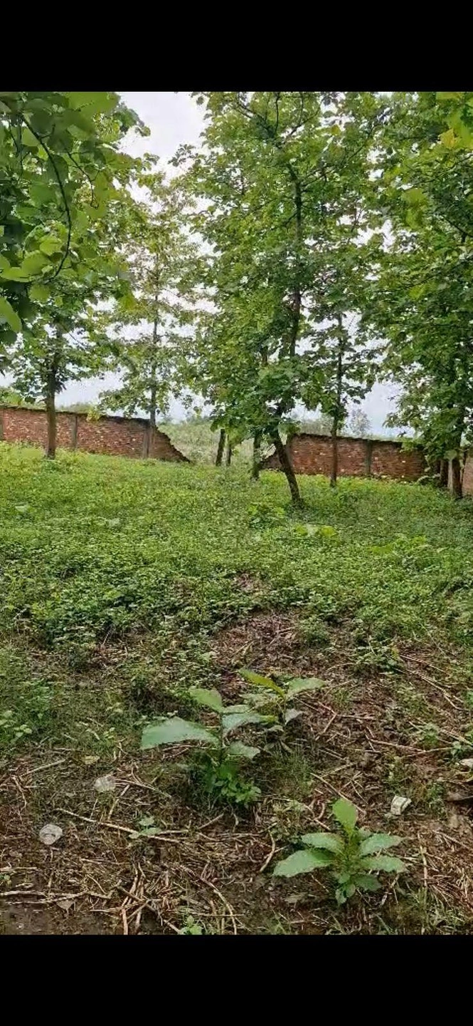 Ganeshpur, Uttar Pradesh 247662, India