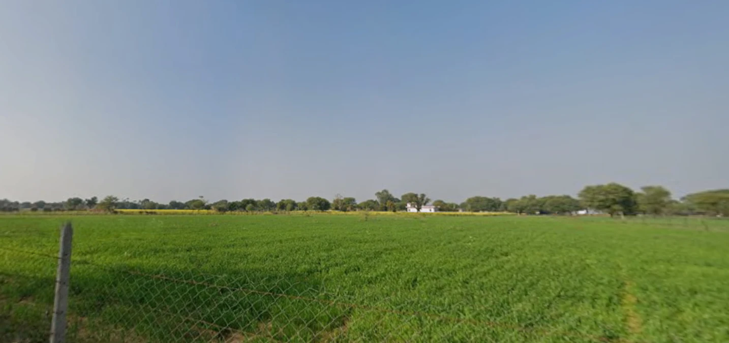 Sutana, Haryana 132105, India