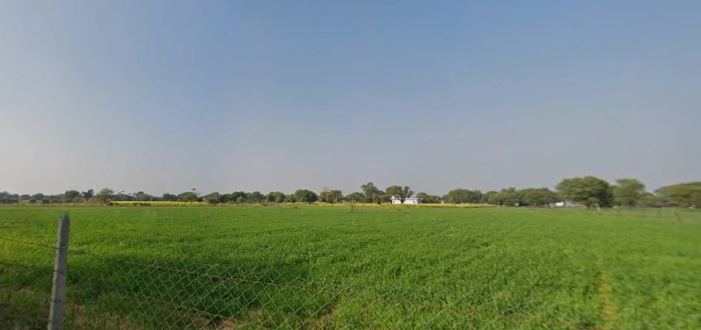 Sutana, Haryana 132105, India