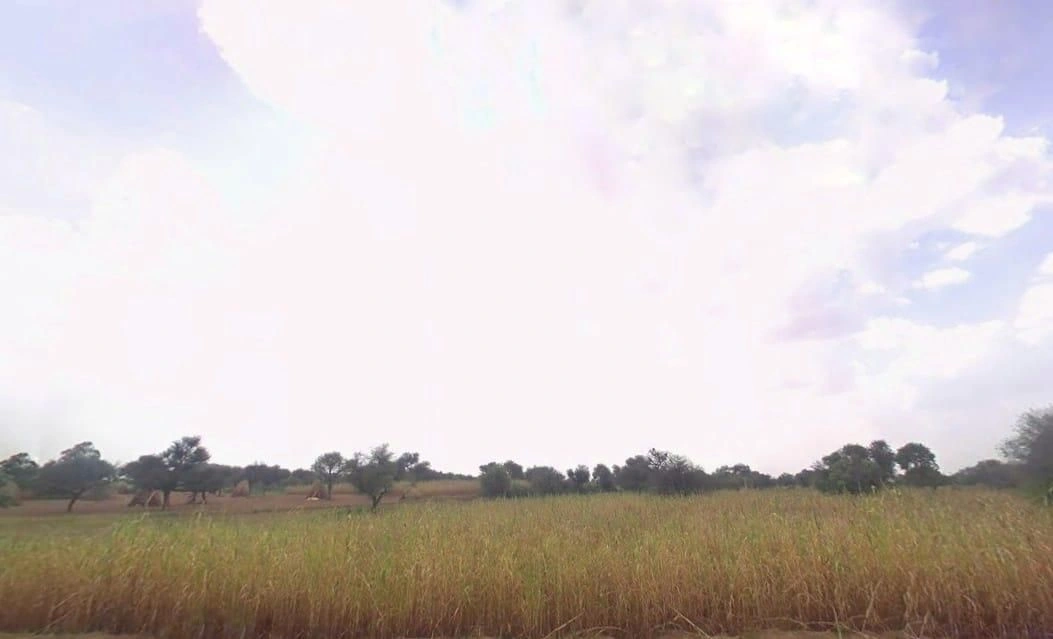 Khachariawas, Rajasthan 332710, India