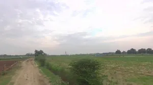G9F4+XR5, Lucknow Expressway, Kanpur, Hariherpur Gair Ehatmal, Uttar Pradesh 209861, India preview 3