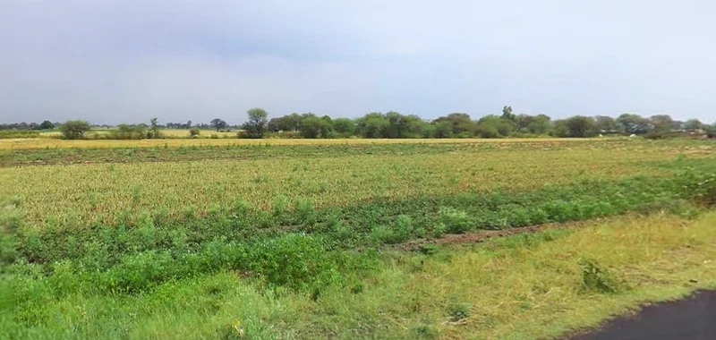 Narsinghpur, Madhya Pradesh 487001, India preview 2