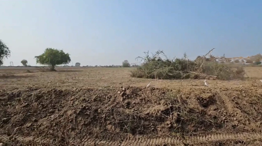 82JF+XMC, Solgam, Gujarat 382130, India