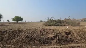 82JF+XMC, Solgam, Gujarat 382130, India preview 3