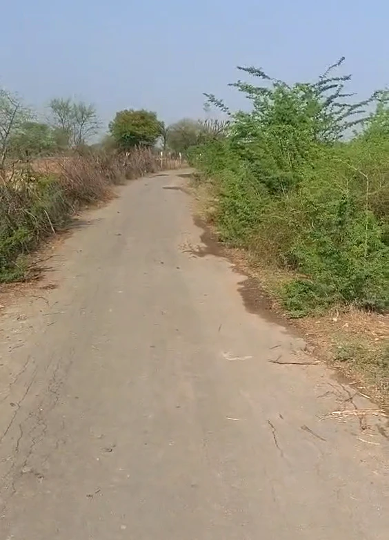 W7J7+47 Barh Chandrana, Rajasthan, India