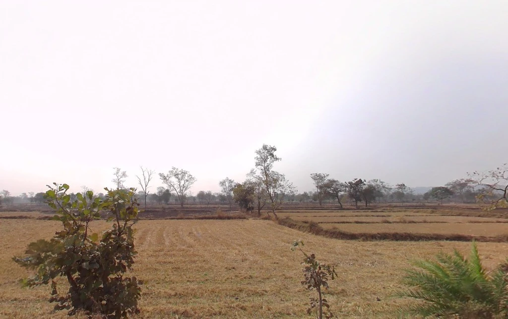 Odka, Chhattisgarh 493441, India