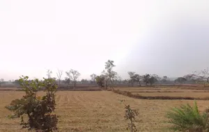 Odka, Chhattisgarh 493441, India preview 2