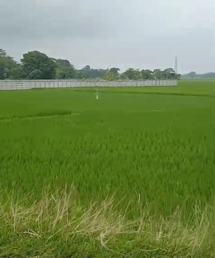 NH 37, Gotlong Main Rd, near All India Radio Center, Dolabari, Tezpur, Assam 784027, India