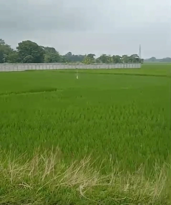 NH 37, Gotlong Main Rd, near All India Radio Center, Dolabari, Tezpur, Assam 784027, India