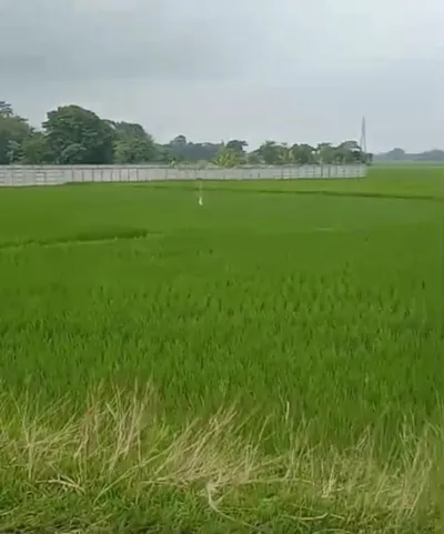 NH 37, Gotlong Main Rd, near All India Radio Center, Dolabari, Tezpur, Assam 784027, India preview 3