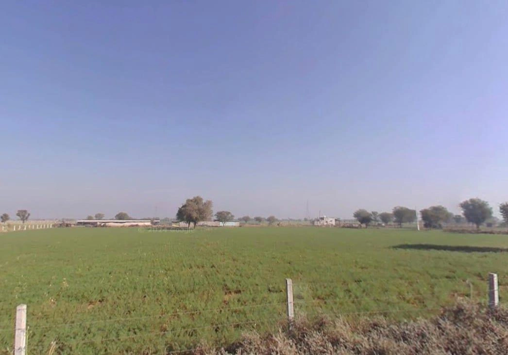 MJGV+GWV, Harsooliya, Rajasthan 303904, India